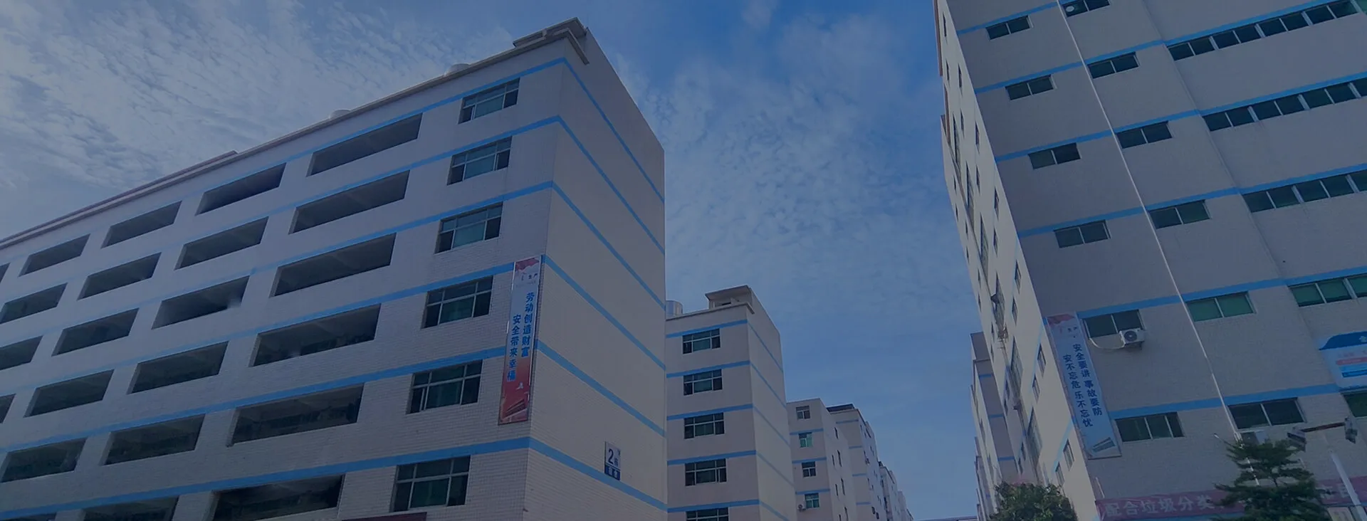 Company Profile